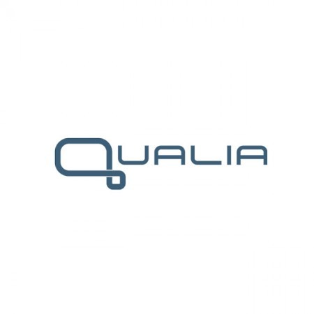 BusinessQ (Qualia)